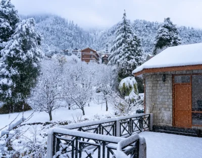 The Forest Bound Cottage